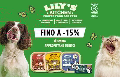 Scopri i prodotti Lily's Kitchen!